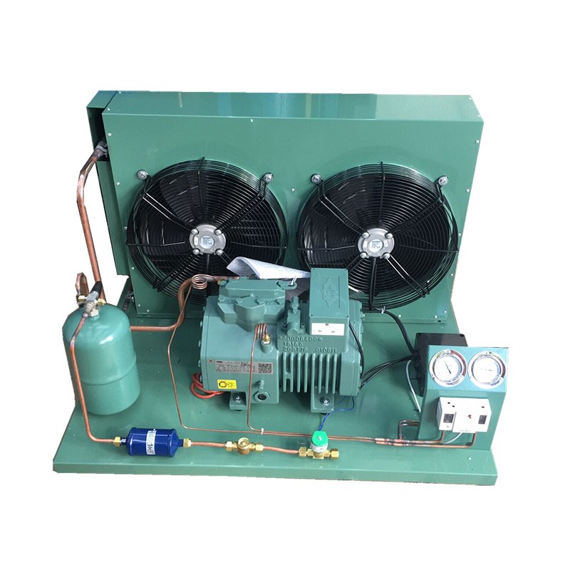 Compressor unit for cold room